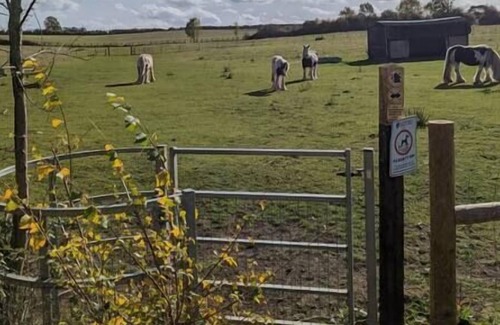 Riseley Cabaña | Charming Cottage in the English Countryside