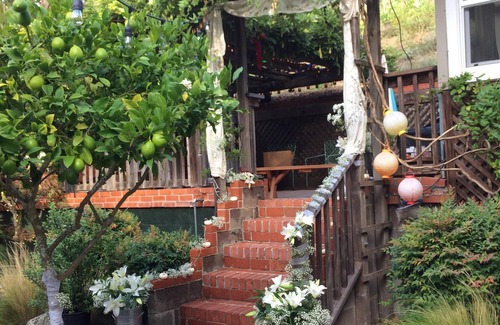 Fairfax Cabaña | Campo con Encanto obtener ubicación, a 35 minutos de San Francisco