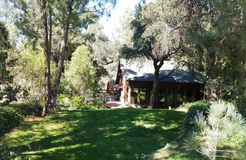 Pine Valley Cabina | Encantadora cabaña de madera rodeada por las colinas del bosque nacional de Cleveland