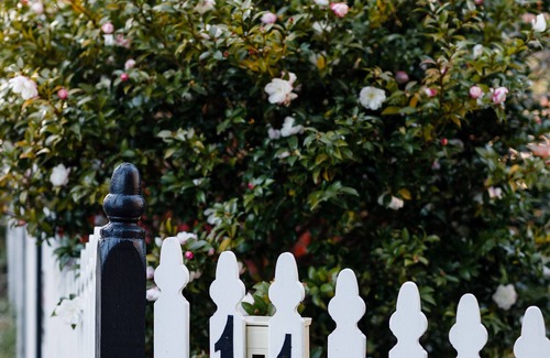 Blackheath Cabaña | Cottage de montaña con encanto - Se aceptan mascotas