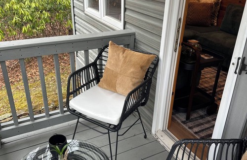 Champion Cabina | Charming, NEWLY Renovated, 3 Bedroom Cabin by the Creek, Minutes from 7 Springs