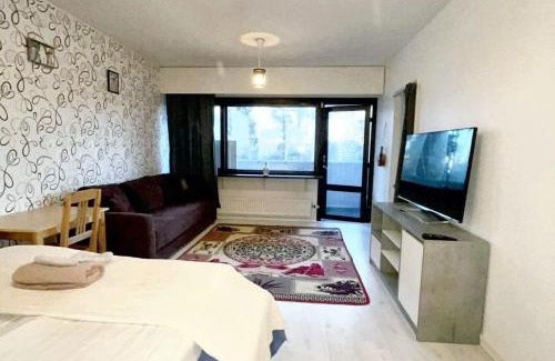Alppiharju Apartamento | Charming studio in Helsinki 42 m² with pool view