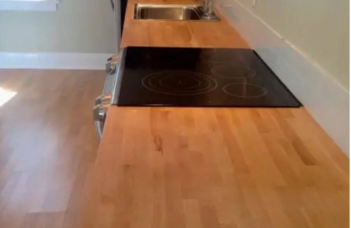 Palma Ceia Apartamento | Charming studio in So Tampa Near Bayshore/Downtown with Wifi & AC