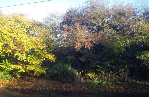 Flamstead Apartamento | Apartamento rural elegante vistas impresionantes, cerca de pueblos y fácil acceso a Londres