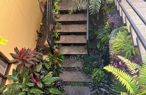 Lo de Marcos Hotel | Chic room in plant filled boutique hotel near beach and plaza in Lo de Marcos