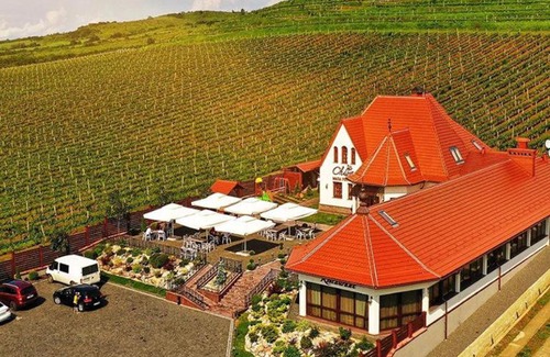 Transcarpathia Hotel | Chizay. Мала Гора