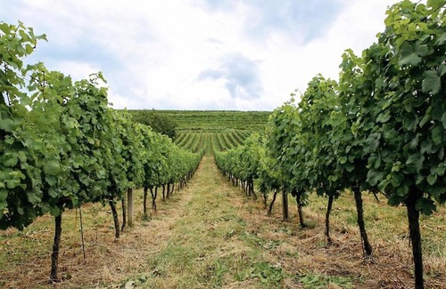 Transcarpathia Hotel | Chizay. Мала Гора