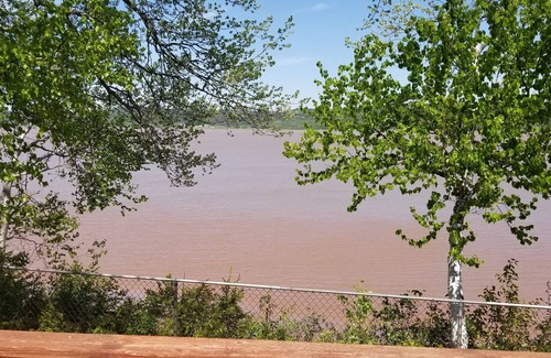 Edgetts Landing Cabaña | Chocolate River Cottages - Chocolate River 1 habitación Cottage # 5