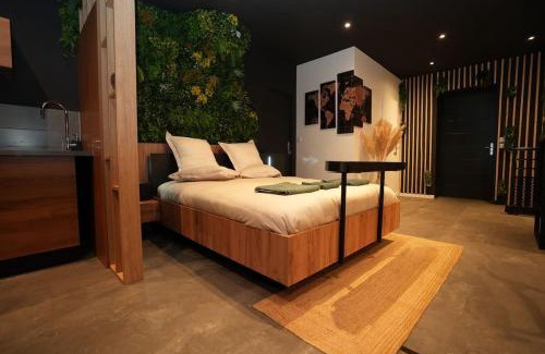 Roanne Apartamento | Ciné jungle duplex balnéo