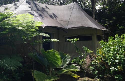 La Plaine Cabina | Citrus Creek Plantation