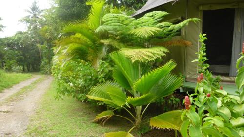 La Plaine Cabina | Citrus Creek Plantation