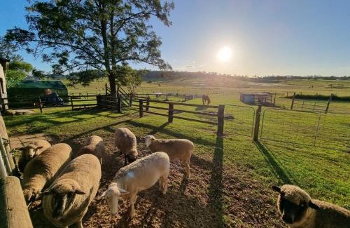 Boyland Casa | Clandulla Cottages & Farmstay