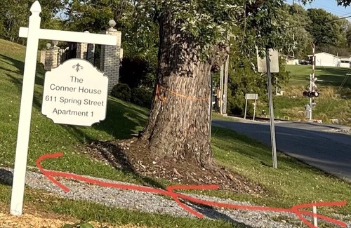 Jonesborough Apartamento | Clean! Pet friendly, New construction, 2 bedrooms, 2 bathrooms, washer-dryer