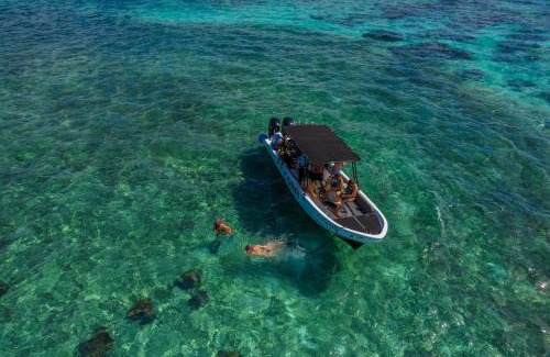 San Pedro Alquiler De Eote | Coba Belize