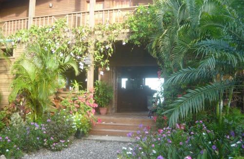Antoneys Cay Hotel | Cocolobo Resort
