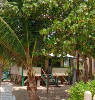 Placencia Hotel | Coconut Cottage -Westbys Coconut Cottage Placencia