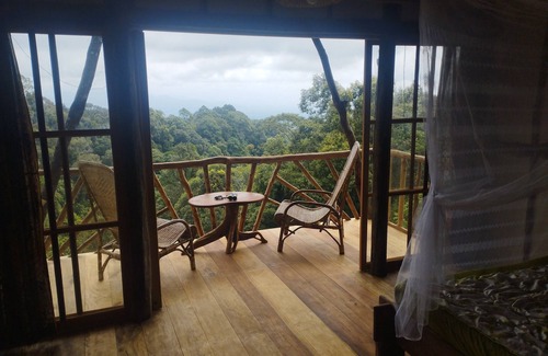 Langkat Cabina | Coffee Farmstay and Roastery in Sumatra, offgrid, authentic, natural