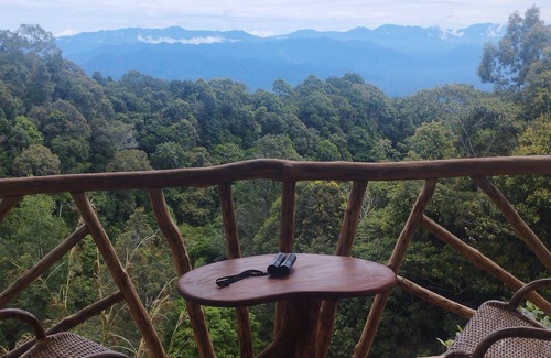 Langkat Cabina | Coffee Farmstay and Roastery in Sumatra, offgrid, authentic, natural