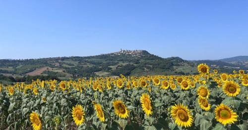 Todi Casa | Colle Costanza