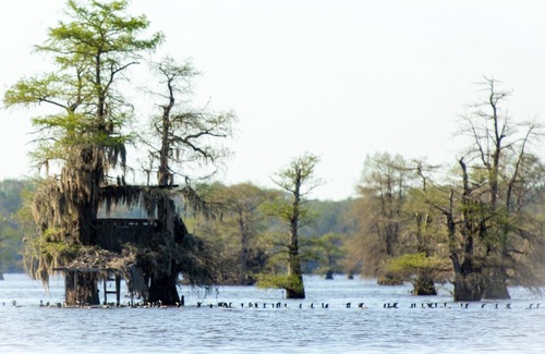 Karnack Casa | Come enjoy the best that Caddo Lake has to offer!