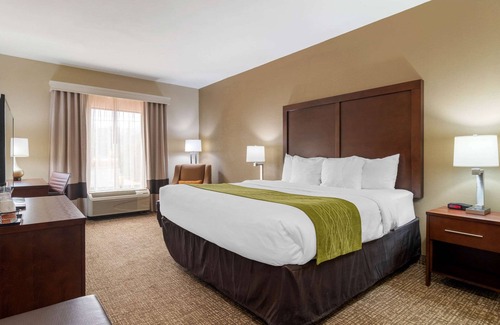 Griffin Hotel | Comfort Inn And Suites Griffin