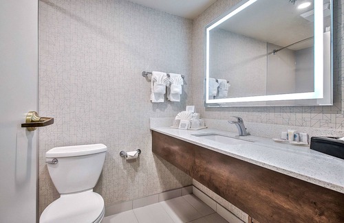 Southwest Calgary Hotel | Comfort Inn And Suites South