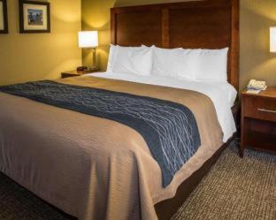Elizabeth City Hotel | Comfort Inn Elizabeth City near University