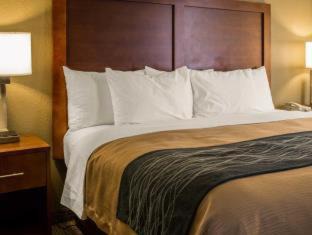 Elizabeth City Hotel | Comfort Inn Elizabeth City near University