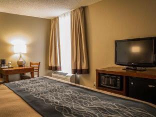 Elizabeth City Hotel | Comfort Inn Elizabeth City near University