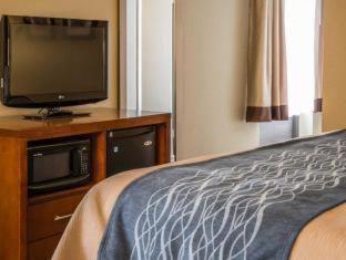 Elizabeth City Hotel | Comfort Inn Elizabeth City near University