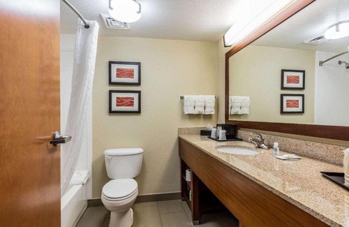 Memphis Hotel | Comfort Inn & Suites Airport-American Way