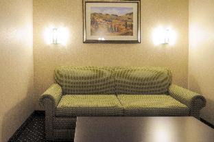 Northeast Heights Hotel | Comfort Inn & Suites Alameda at Albuquerque Balloon Fiesta Park