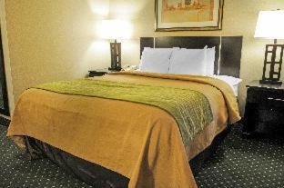 Northeast Heights Hotel | Comfort Inn & Suites Alameda at Albuquerque Balloon Fiesta Park