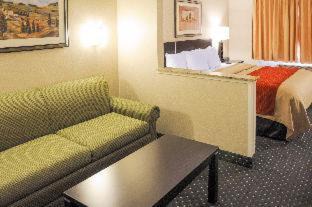 Northeast Heights Hotel | Comfort Inn & Suites Alameda at Albuquerque Balloon Fiesta Park