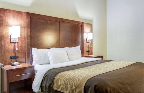 Athens Hotel | Comfort Inn & Suites Athens North