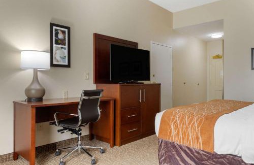 Cordele Hotel | Comfort Inn & Suites Cordele