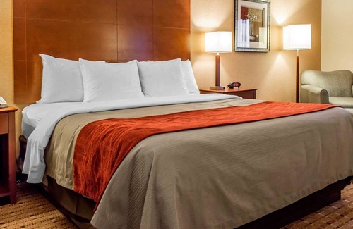 Franklin Hotel | Comfort Inn & Suites Franklin East