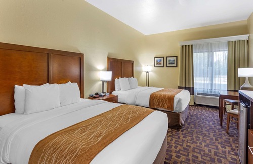 North Aurora Hotel | Comfort Inn & Suites North Aurora - Naperville