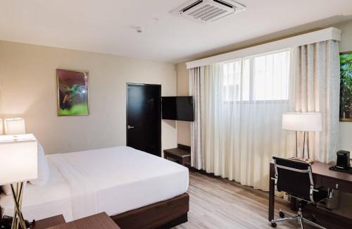 Scarborough Hotel | Comfort Inn & Suites Tobago