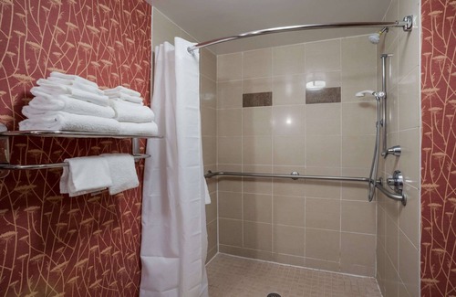 Norfolk - Virginia Beach Hotel | Comfort Suites Suffolk - Chesapeake
