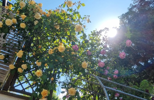 Waiblingen Apartamento | Comfortable and cozy vacation apartment in Waiblingen near Stuttgart