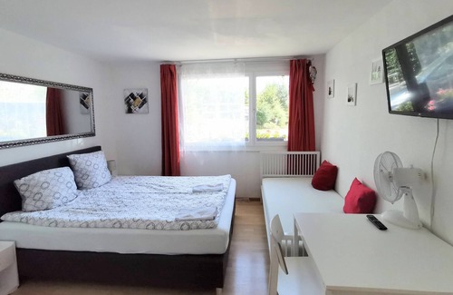 Ruswil Cama Y Desayuno | Comfortable mountain view apartment near Lucerne