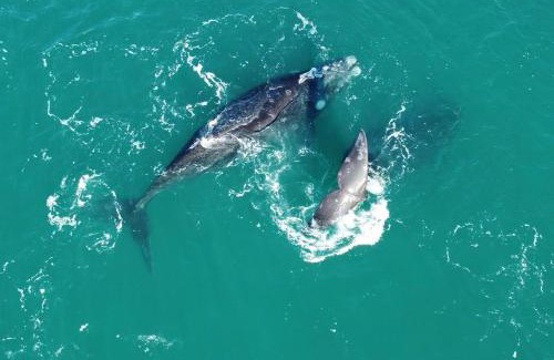 Las Grutas Apartamento | Complejo Anita 06A