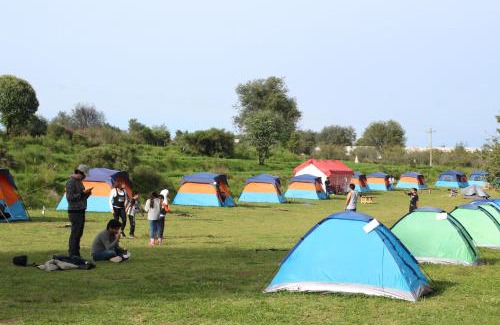 Nanacamilpa Otro | COMPLEJO DE HOSPEDAJE EN BOSQUE ECO REINO AVENTURA