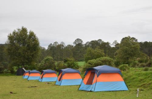 Nanacamilpa Otro | COMPLEJO DE HOSPEDAJE EN BOSQUE ECO REINO AVENTURA