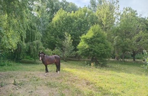 Tunuyán Apartamento | Complejo La Riojita