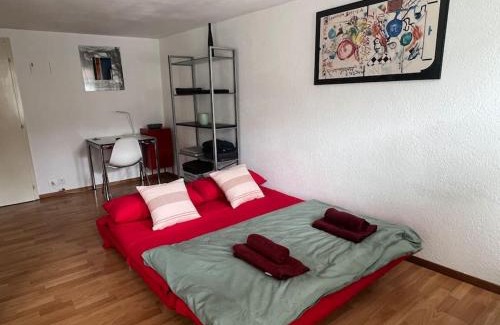Fribourg Apartamento | Cooles Apart an der Kathedrale