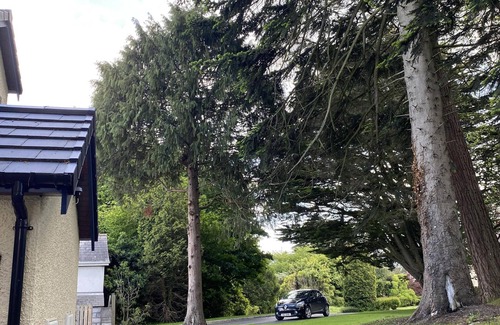 Newcastle Casa | Copperview Apartment