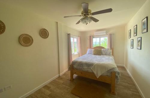 Kingstown Casa | Coral Cottage of Prospect
