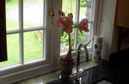 Boscastle Cabaña | Cottage Cornualles. Establecer En 7 hectáreas con pesca de la trucha, Boscastle, Cornualles del norte.